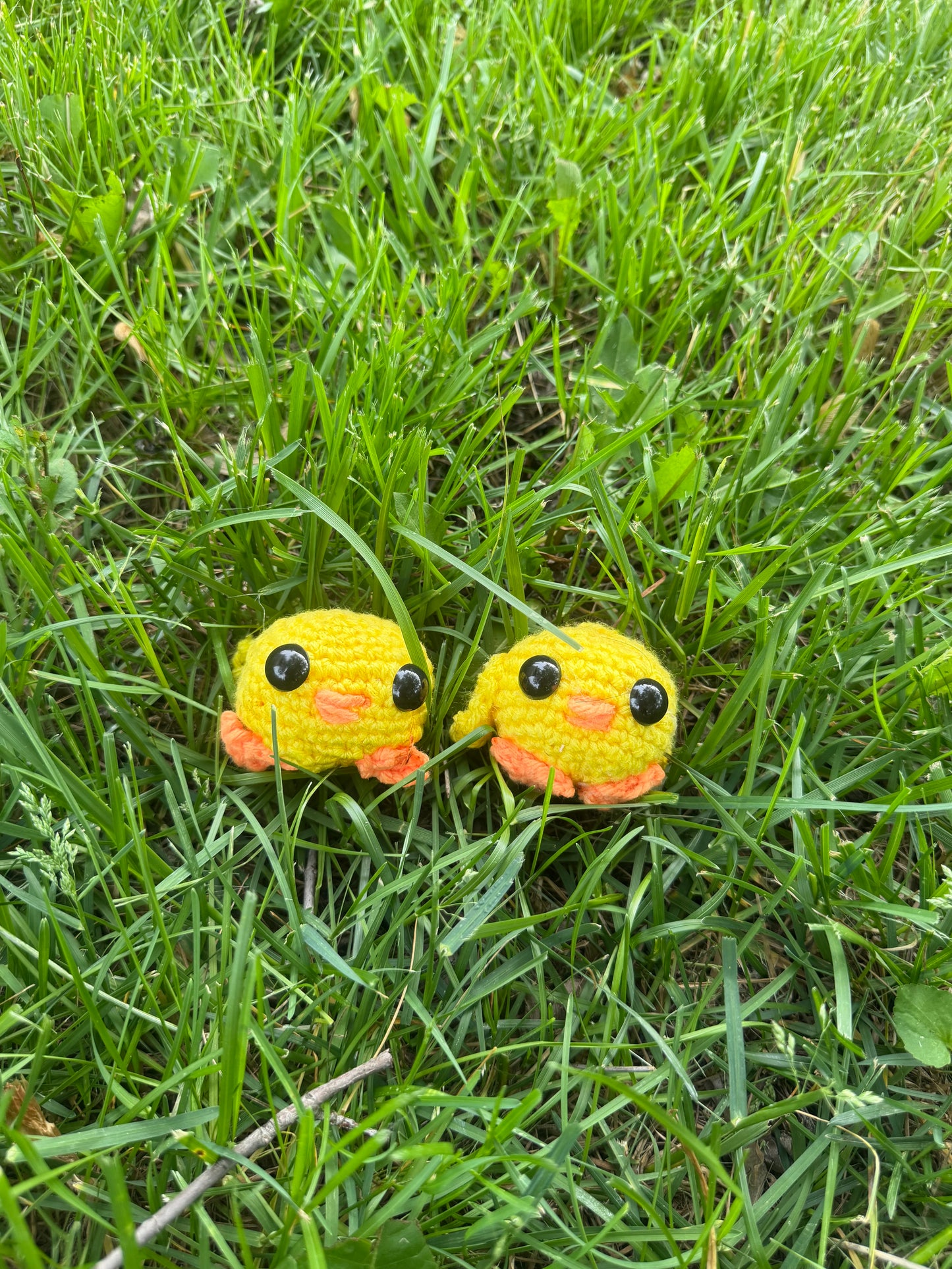 Stuffed Duckies