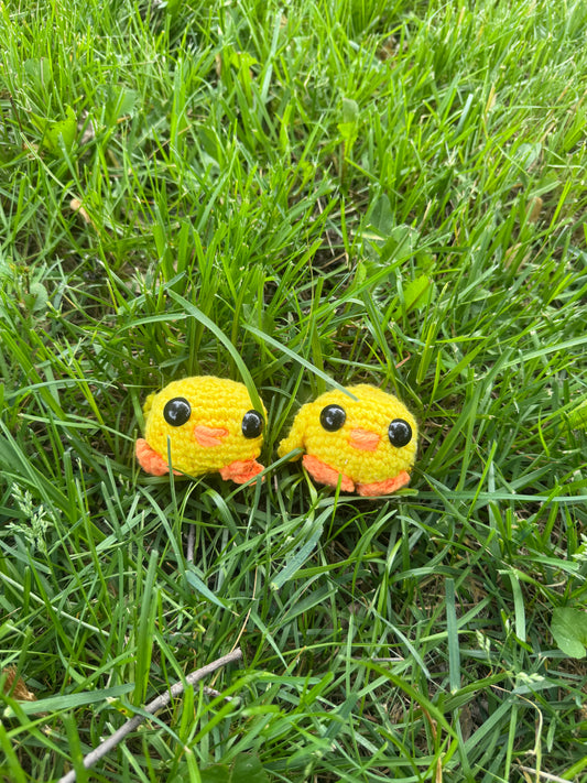 Stuffed Duckies