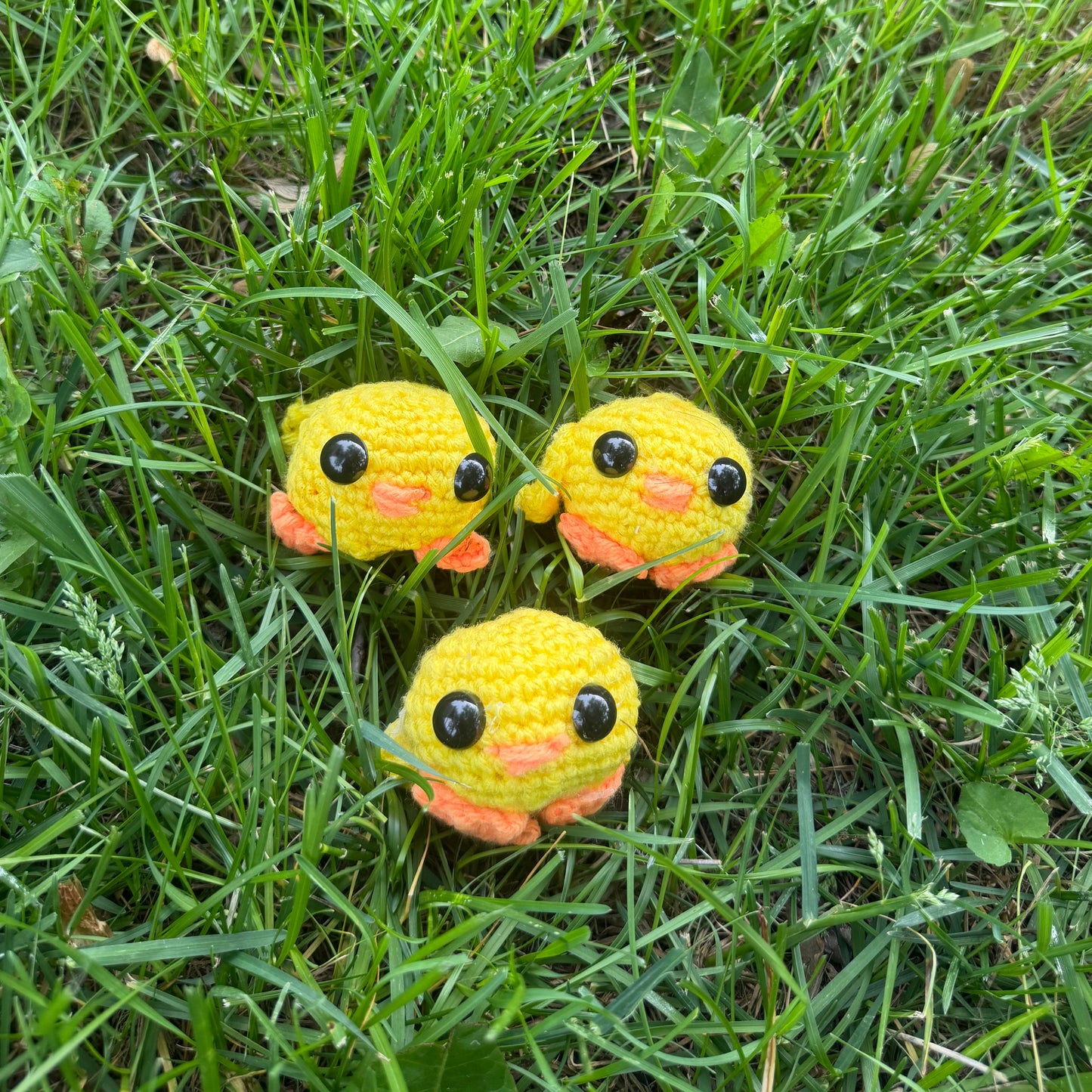 Stuffed Duckies